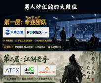 你选的平台，在第几层？——外汇市场“真男人”段位图鉴